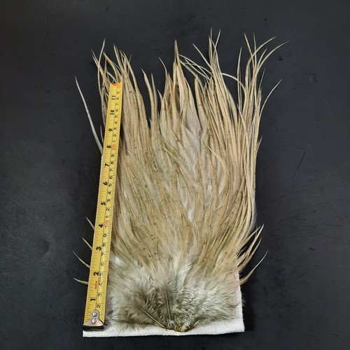 Light Gray Ginger Dun Rooster Saddle Hackle Long Dry Fly Tying Feathers #2 - Picture 3 of 4