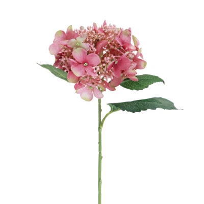 FLORISTIK24.DE Ortensia Artificiale Rosa Verde 52cm Fiore Decorativo Giardino