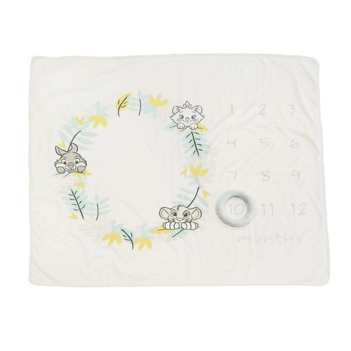 Enchanting Disney Baby Themed Months Milestone Photo Blanket Baby Shower Gift