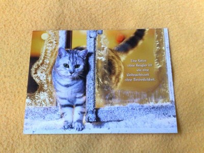 Postcard blank funny saying A cat without curiosity is like a