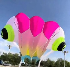 new 16Sqm soft kite 3D Huge Giant Trilobites Kite Outdoor Sport Easy to Fly