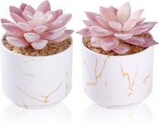 ZENIDA Artificial Plants and Succulents in 2 White Ceramic Pots,Small Fake Plan