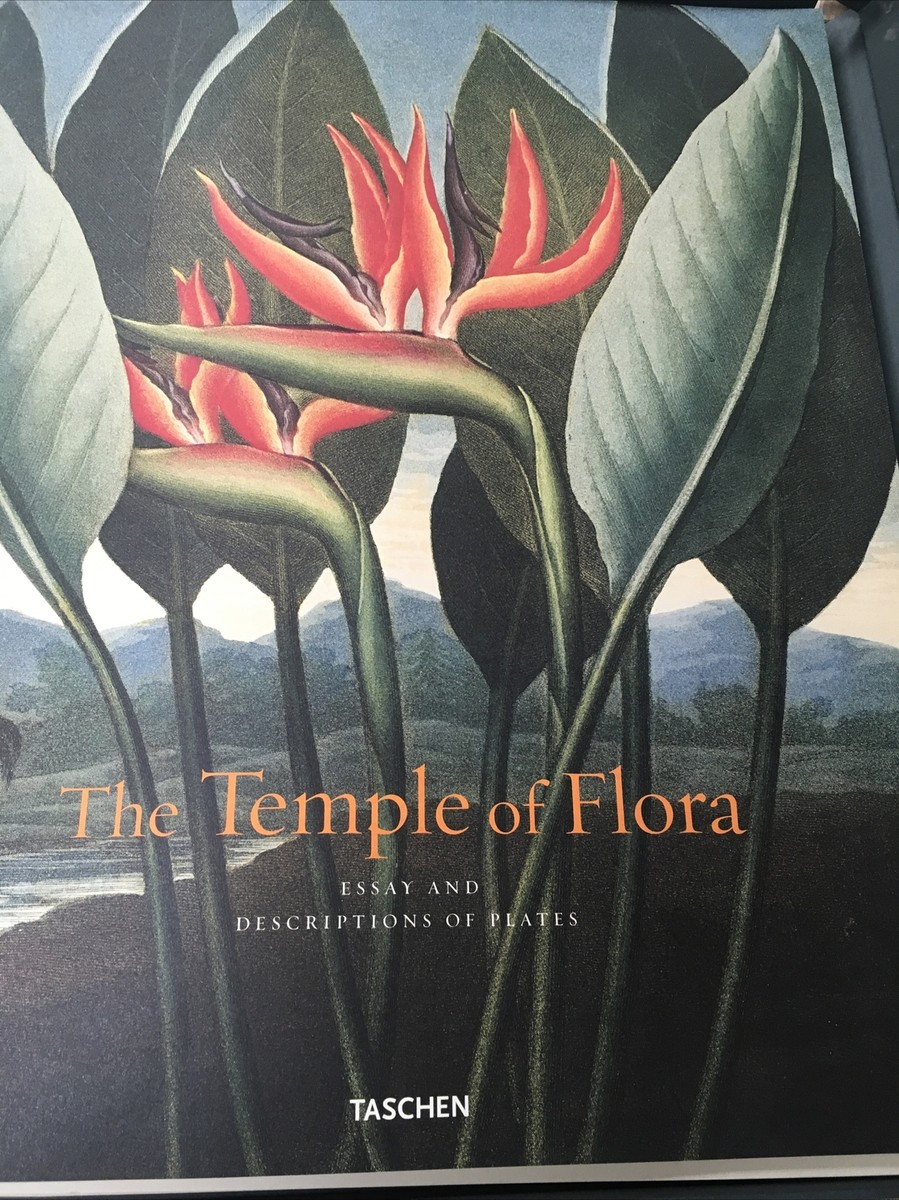 The Temple Of Flora” Botanical Prints Robert John Thornton The
