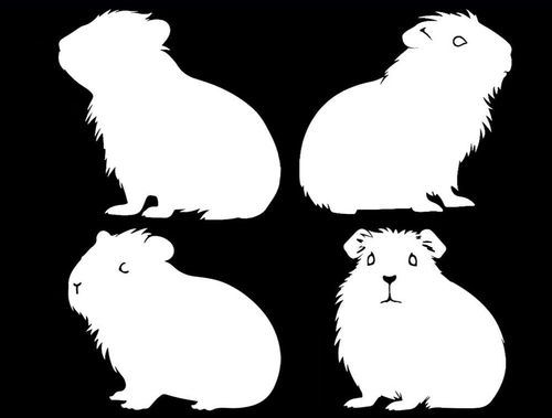 I LOVE MY GUINEA PIG 5 White Decals Car Truck Windows Mirror Laptop Tablet - Picture 2 of 3
