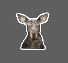 Baby Moose Sticker Cute Forest NEW