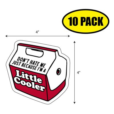 10pc -4'' x 4'' DON'T HATE ME BECAUSE I'M COOLER Sticker Decal Humor Funny VG0017