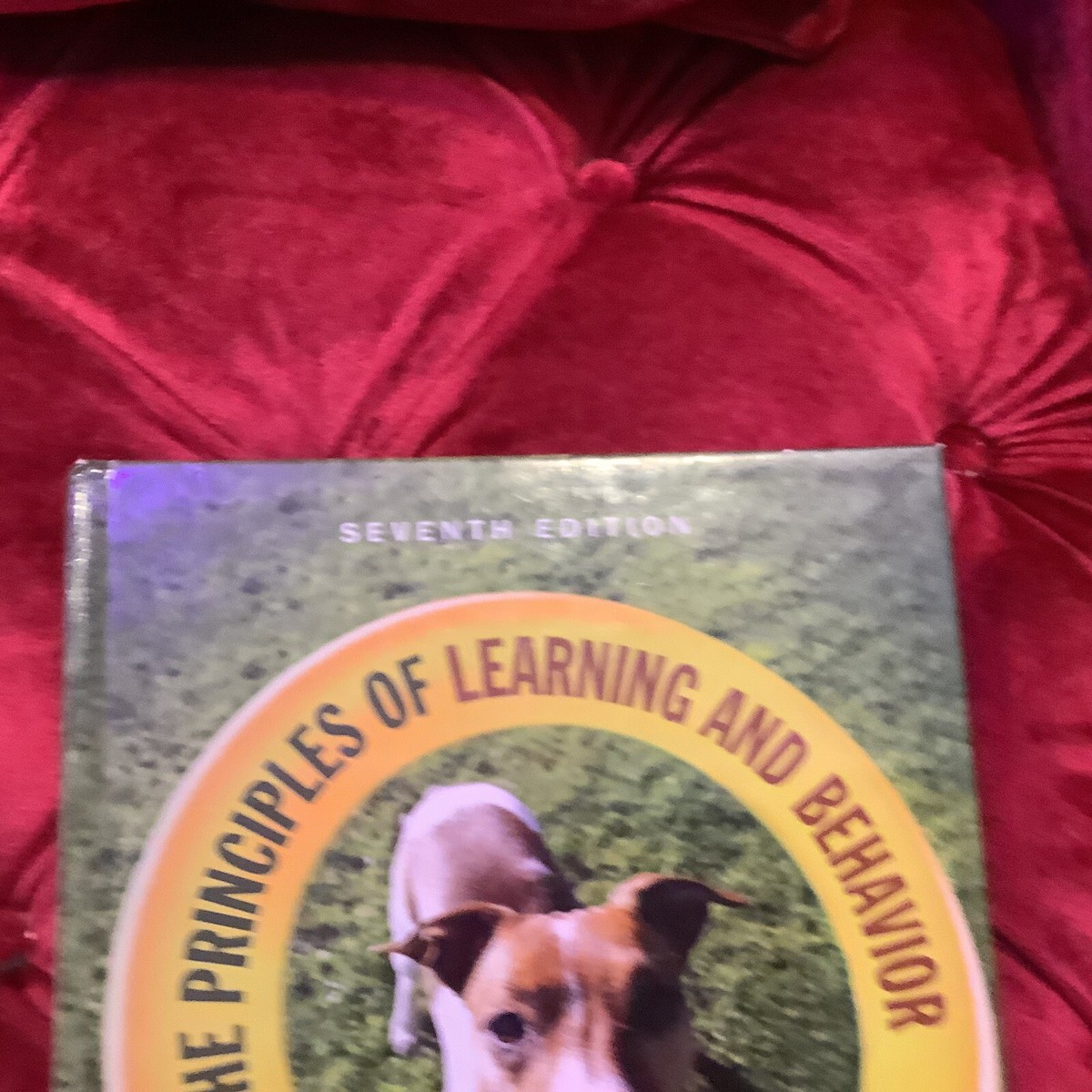 The Principles of Learning and Behavior 9781285088563| eBay