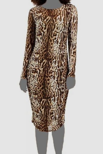 $79 Inc International Concepts Women's Brown Leopard-Print Mesh Dress Size M - 第 1/3 張圖片