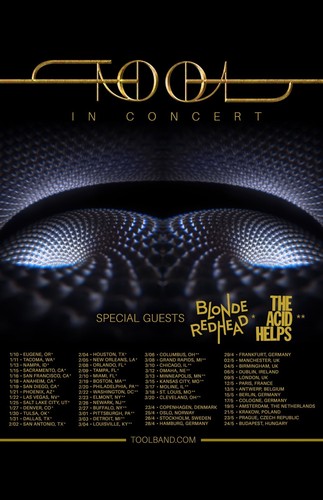 TOOL POSTER PHOTO PRINT 11X17 LATERALUS FEAR INOCULUM JAMES KEENAN CAREY JONES - Picture 13 of 13