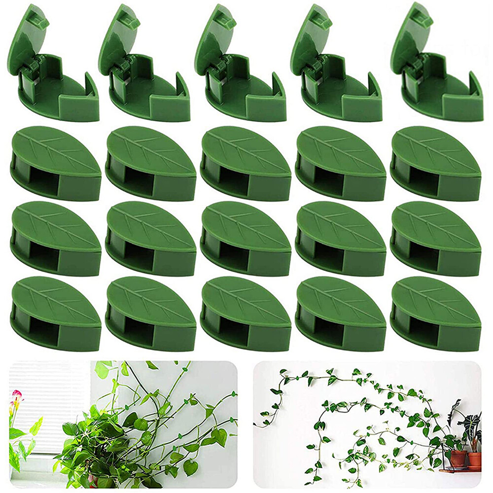 1050PCS Climbing Plant Wall Clips Invisible Fixture Hook Clip Vine Sticky Vines eBay