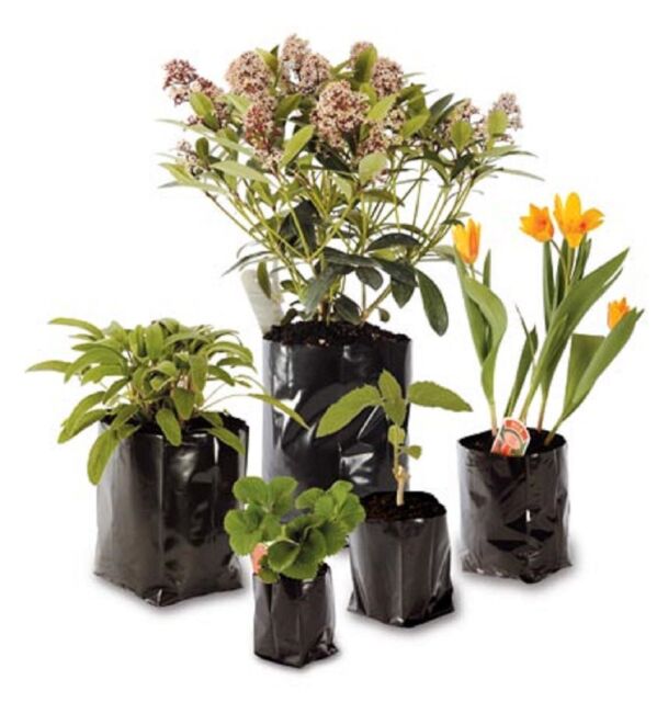 Poly Plant Pots Grow Bag Container Hadopots Polythene Reusable Recycled PolyPots Poly Plant Pots Grow Bag Container Hadopots Polythene Reusable Recycled PolyPots