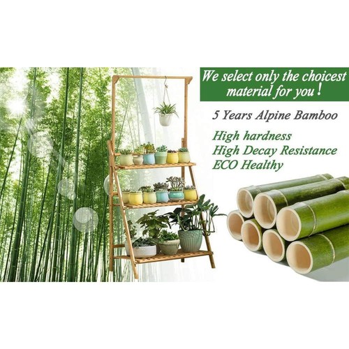 Hanging Plant Rack Storage Folding Display Shelf Made of Pure Natural ...