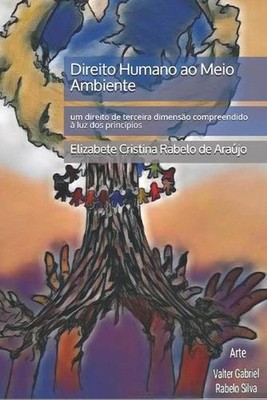 Direito Humano ao Meio Ambiente: um direito de terceira dimens?o compreendido ?