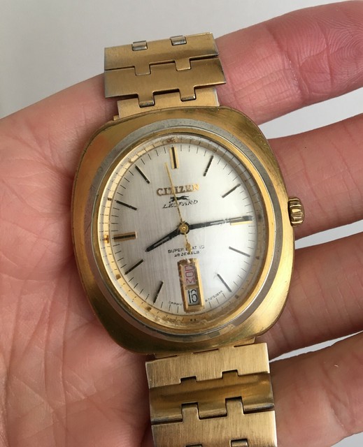 mont blanc back pack