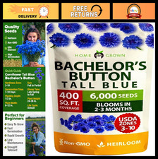 Tall Blue Bachelor Button Seeds - 6000 Non-GMO Cornflower for Wildflower Gardens