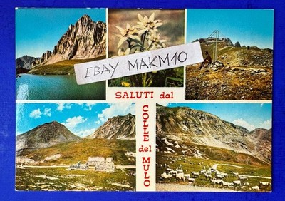   PHOTO POSTCARD GREETINGS FROM HILL OF THE MULE FORTRESS LA MEYA VALLEY MAIRA WEDGE  