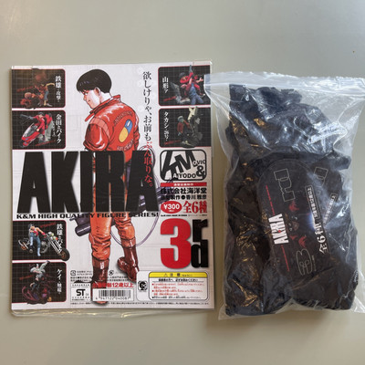 Akira 3. hochwertige Figurenserie (1 von 6 + Secret) mit Entlüftungskarte
