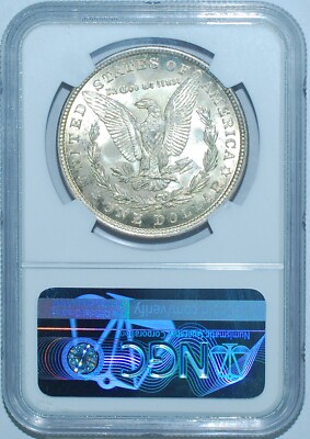 1921 P NGC MS63 VAM-41B Pitted Reverse Top-100 Morgan Silver