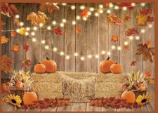 Fall Backdrop Photography Photo Background Holiday Portrait Pumpkin Banner 7'x5'