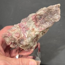 💎Video🌈Schöne Kabinettstufe Rubellit roter Turmalin Minas Gerais Brasilien 💎