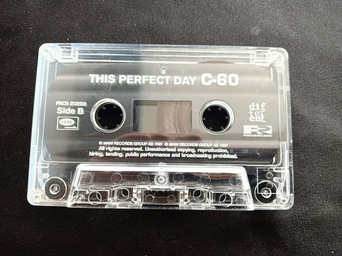 This Perfect Day : C- 60 Cassette Tapes - Picture 6 of 9