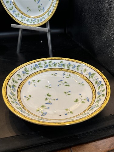 ceralene raynaud limoges morning glory Spray Set Of 4 Coupe Soup Bowls 7 3/4 In - Picture 2 of 12