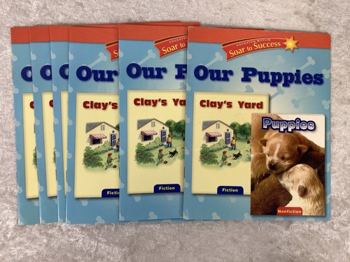 Soar To Success Reading Book Lot 20 Different Grade 1 2 Total of 180 Books - Picture 12 of 15