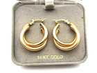 14K Yellow Gold Double Hoop Earrings 3.0 Gr [E368] — photo 7