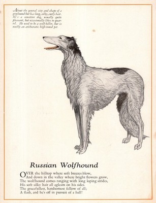 1920s Antique Borzoi Print Poem Poetry Print Wessell Russian Wolfhound Art 6552p