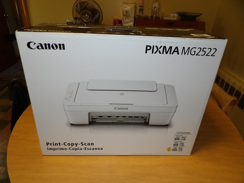 Buy Canon PIXMA MG2522 Wired All-in-One 