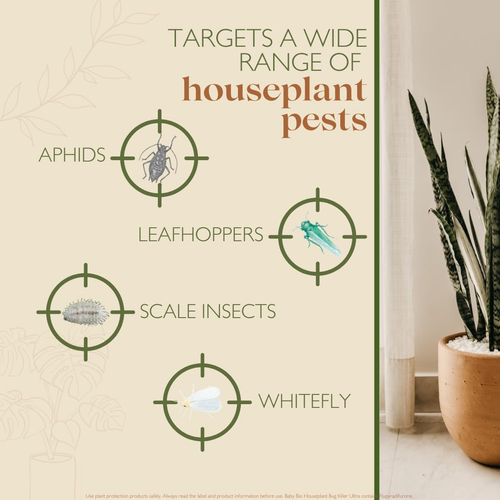 Houseplant Bug Killer Ultra - Fast-Acting Bug Killer Spray - Effective Insect Co - Picture 5 of 12