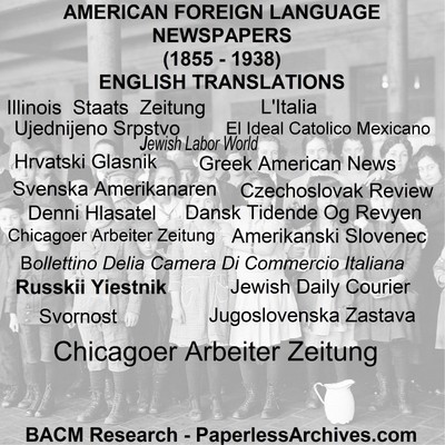 American Foreign Language Newspapers 1855-1938  English Translations USB Drive