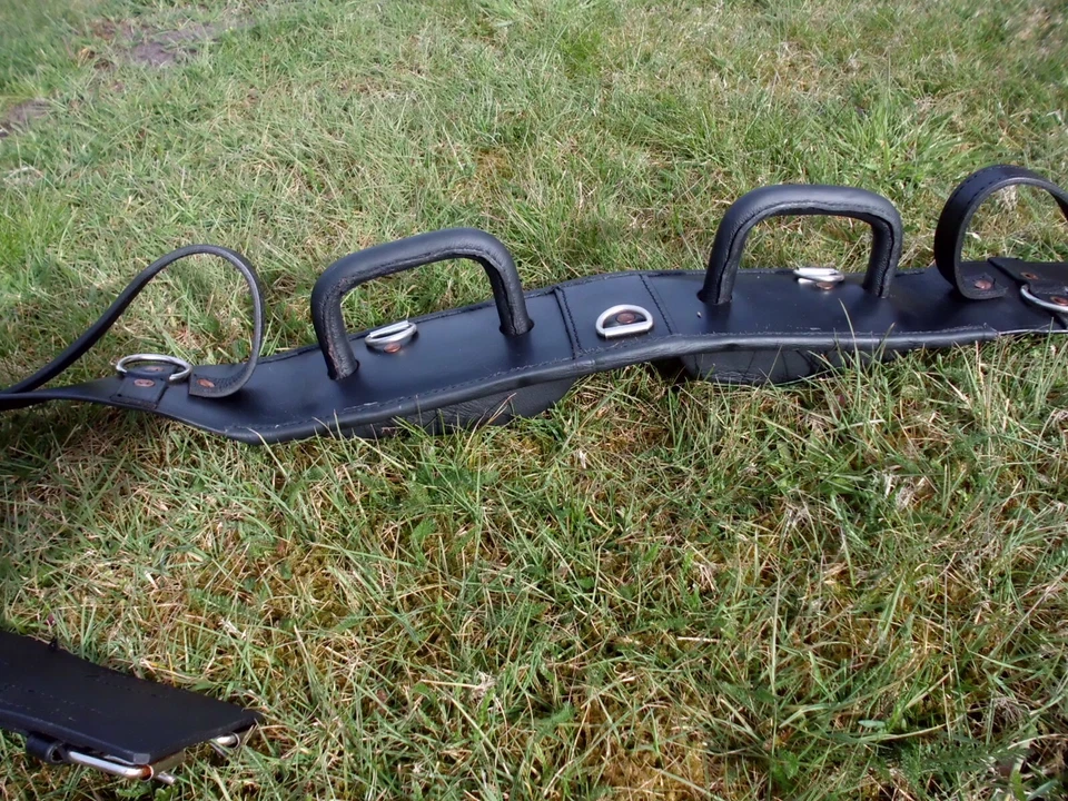 Voltigiergurt aus Leder m. Beinschlaufen festen Griffen Mini-Shetty -Kaltblut - Bild 2 von 4