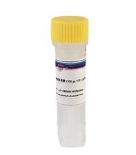 High pure Taq DNA polymerase with 500U for Polymerase Chain Reaction