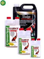 CLOVERLEAF SLUDGE ANSWER KOI