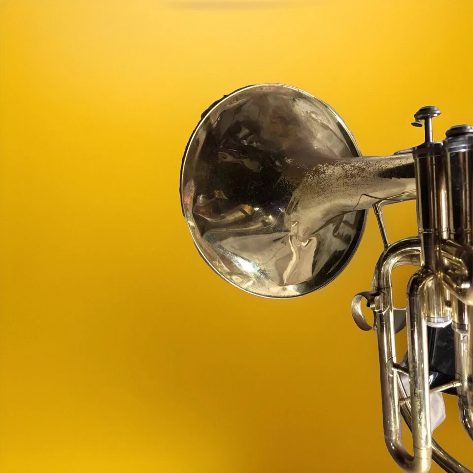 Cuerno francés vintage Holton marchando Foto 3 de 4