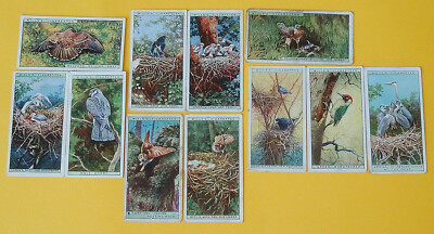 Cigarette Card WD & HO Wills Life in the Tree Tops 1925 11/50 V/Good-Good Con 46