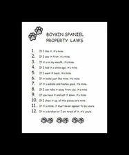 Boykin Spaniel - CUSTOM MATTED - Dog Art Print - P/L