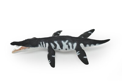 Liopleurodon, Plesiosaur, Marine Reptile, Realistic Plastic Toy Model SF02 B95