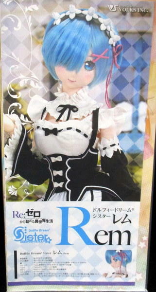 VOLKS Dollfie Dream Sister DDS REM Re Zero Super Rare Item From