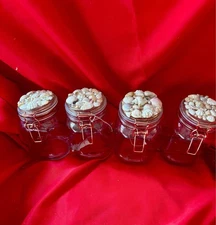 Ocean Inspired Shell Embellished Set of Four Glass Candy