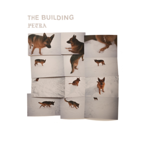 The Building PETRA (CD) Album