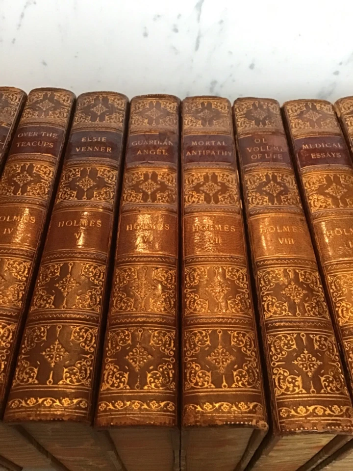 1899 Leather Complete 14 Vol. Set of The Writings of Oliver Wendell Holmes - Image 3 of 4