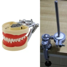 Kilgore Nissin 200 Dental Typodont 32 Teeth Mounting Pole Pratice Model Screw-in