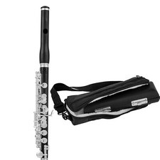 AUROSUS APE-16  Ebony Piccolo Silver keys a carrying case