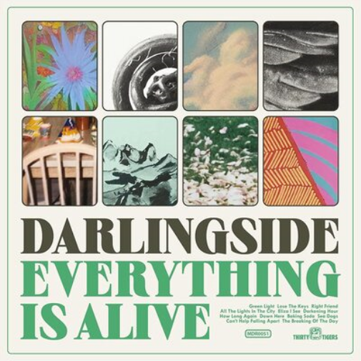 Darlingside Everything Is Alive (Vinyl LP) 12" Album