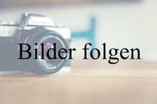   Holzzersetzende Pilze in Bäumen - Strategi...