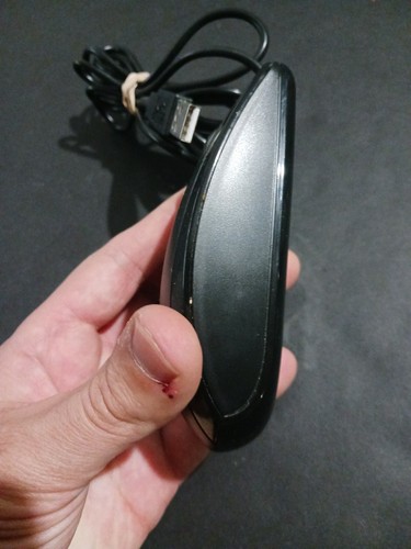 Original HP Wired USB Optical Laser Mouse Black Vintage Tested! - Picture 6 of 7
