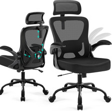 Ergonomic Office Chair with Mesh Back, 2D Headrest Adjustable Lumbar Support