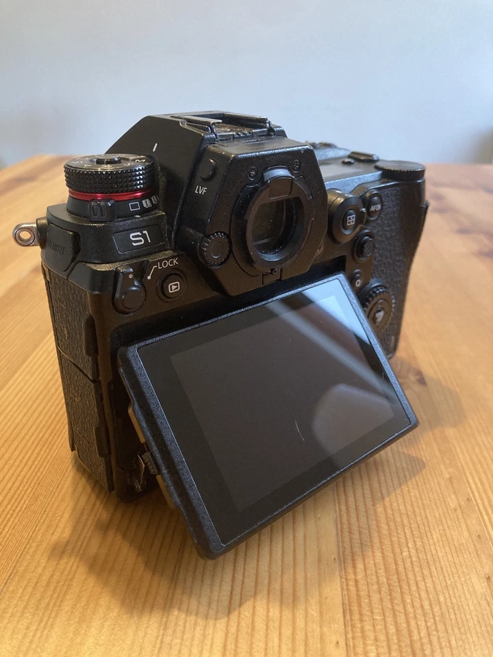 Panasonic Lumix S1, photo 3 of 5